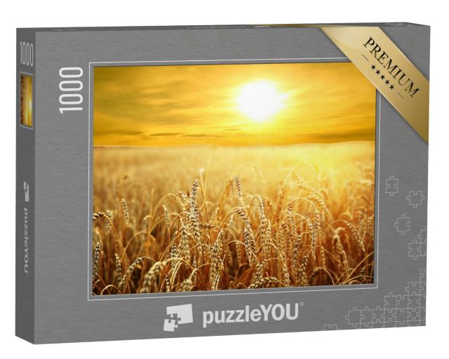 Puzzle 1000 Teile „Sonnenuntergang über dem goldenen Weizenfeld“
