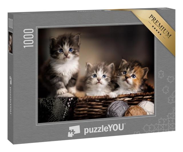 Puzzle 1000 Teile „Drei niedliche Kätzchen, Großaufnahme“