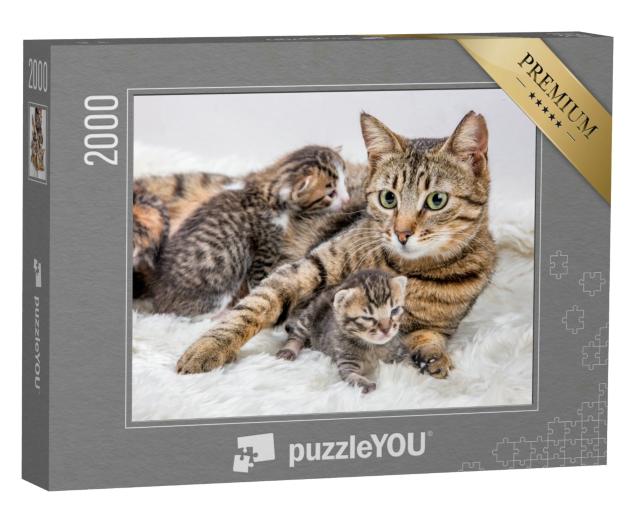 Puzzle 2000 Teile „Katzenmutter und Katzenbaby, Kitten“