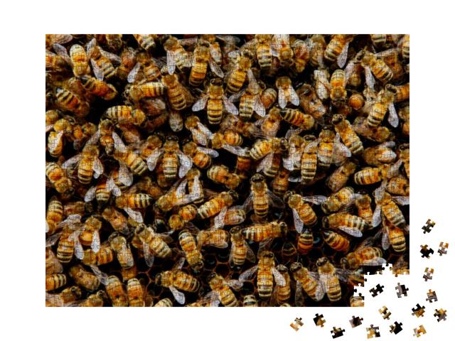 Puzzle 1000 Teile „Ein Bienenvolk versammelt sich um seine Königin“