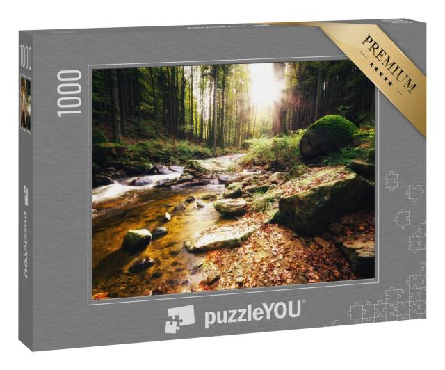 Puzzle 1000 Teile „Sonniger Tag am Bach im Ilsetal, Harz“