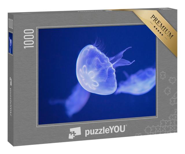 Puzzle 1000 Teile „Zarte Seemond-Qualle“